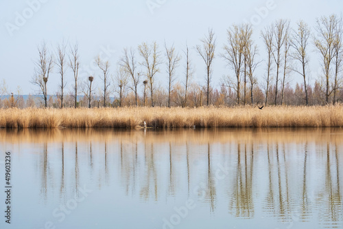 Landscape of the Duero River in the "Reserva Natural Riberas de Castronuño" in Valladolid, Spain