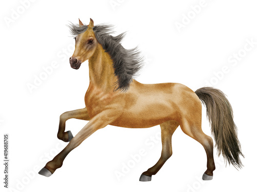 cheval, licorne, animal, fantaisie, blanc, étalon, jaune, poney, photo, crin, illustration, poulain, chevalin, 3d, fond blanc, jument, debout, premier pas, féérique, andalou, pur, galop, amoureux des 