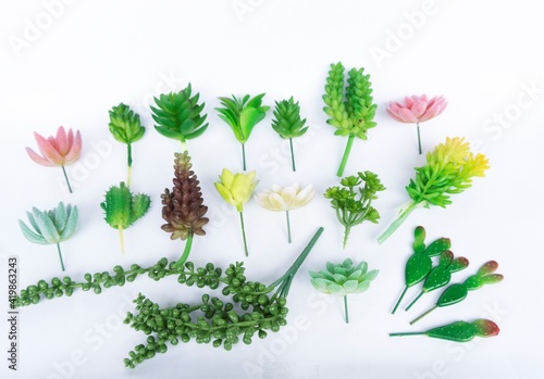 Beautiful Mini Cactus Succulents flat lay nature artistic vintage on a white bright blurry background