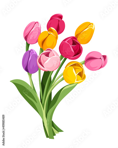 Vector bouquet of red, pink, orange, yellow and purple tulip flowers isolated on a white background.