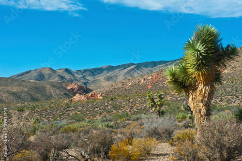 USA, Nevada, Mesquite. Gold Butte National Monument, Cabin Springs Area.