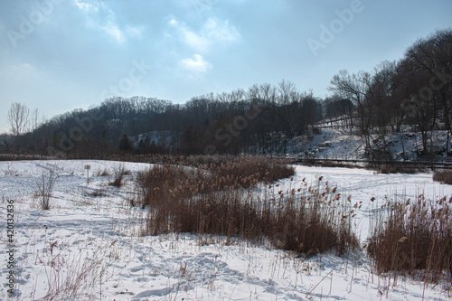 Outdoor Winter Snow Park Landscape 