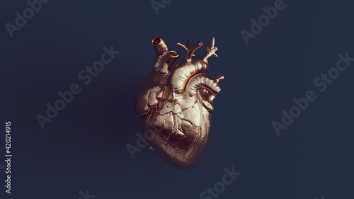 Bronze Human Heart Anatomical with Navy Blue Background 3d illustration render 