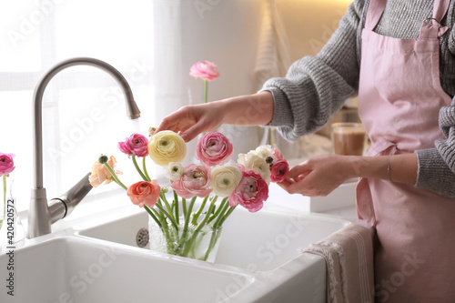 Woman taking care of cut fresh ranunculus flowers in kitchen, closeup