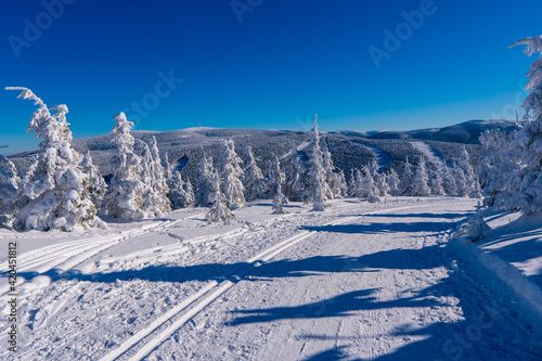 Beautiful winter landscape with snow covered trees Jeseniky mountain in czech
