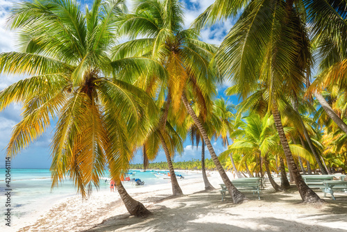 Amazing tropical paradise beach with white sand, coconut palms, sea and blue sky, outdoor travel background, summer holiday concept, natural wallpaper. Caribbean, Saona island, Dominican Republic