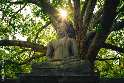 buddha statue at Abhayagiri Dagoba stupa in Anuradhapura, Sri Lanka