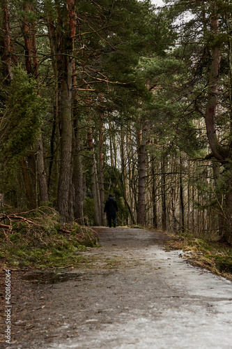 Silhouette of a man on the road in a dark mystical forest on a cloudy spring day.