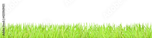 Green grass on white background, spring lawn. Panoramic view, vector illustration.
