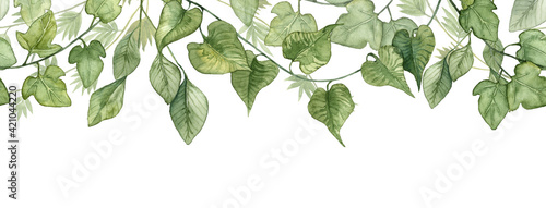 Long seamless banner with hanging ivy leaves