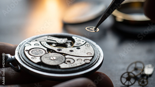 Mechanical watch repair process. Watchmaker