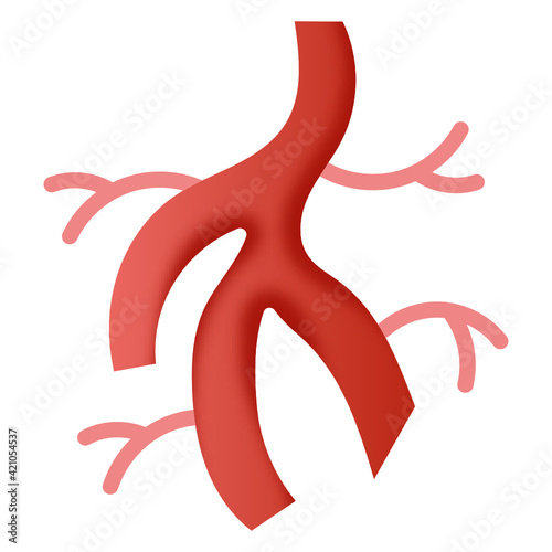  Editable design of arteries icon, flat style vector