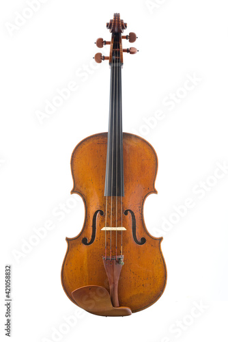 viola