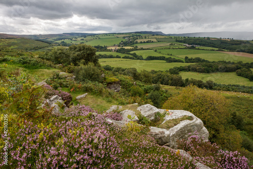 Cheviot Hills