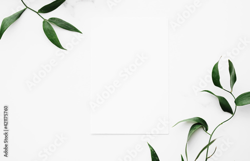 Blank white card, green leaves on white background as botanical frame flatlay, wedding invitation and holiday branding, flat lay design concept