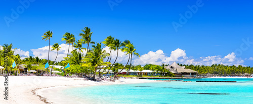 Coconut Palm trees on white sandy beach in Dominican Republic
