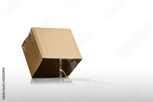 cardboard box with stick as trap