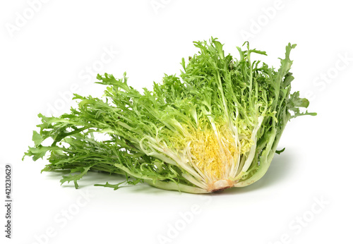 escarole endive isolated on a white background