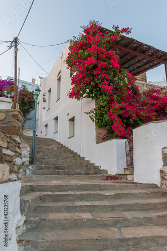 Traditional alley with a narrow street, whitewashed houses and a blooming bougainvillea in isternia Tinos island, Greece.