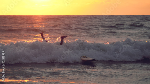 Surfer falls off the board at sunset.