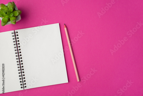 Top view photo of workplace with plant pencil and open organizer on isolated pink background with copyspace