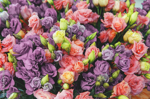 a large bouquet of pink and lilac eustom close-up. Lilac delicate flowers - floral background, close-up