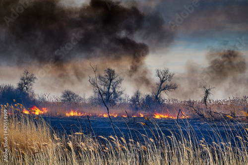 Wildfires. Burning estuary. Fire in the steppe.