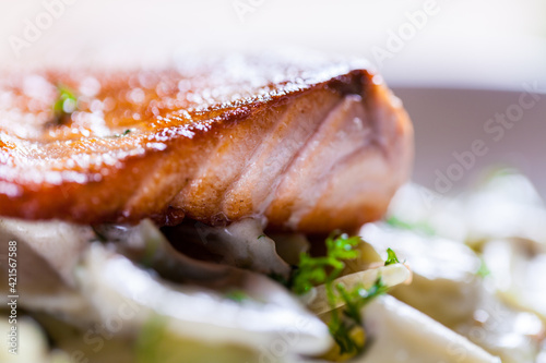 Pasta with roasted salmon in sour cream leeks and dill. Fresh home made pasta. Delicious dish. beautifull fried salmon on top of home made pasta. Italian dish. Fine dining. Beautiful ingredients. 