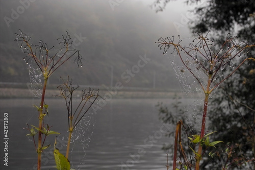 herstlicher Morgen am Ufer der Ruhr mit Nebel, Mülheim an der Ruhr