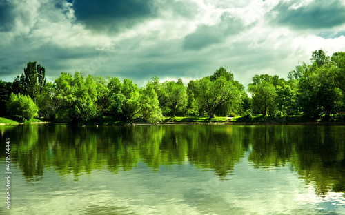 A photo of calm nature, combining the contrasting borders of gray clouds and green forest.