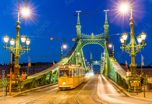 Liberty Bridge in Budapest at night, Hungary