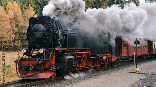 Harz Narrow Gauge Steam Train in clouds of smoke, Germany