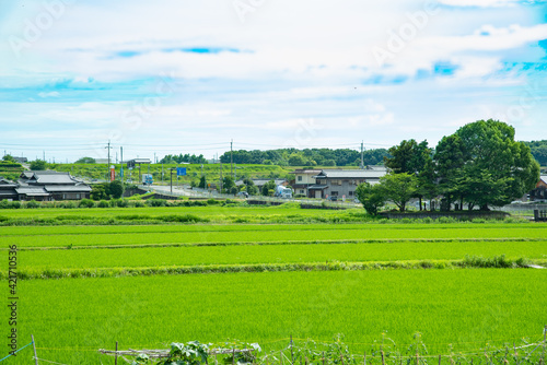 兵庫県・加古郡稲美町の風景