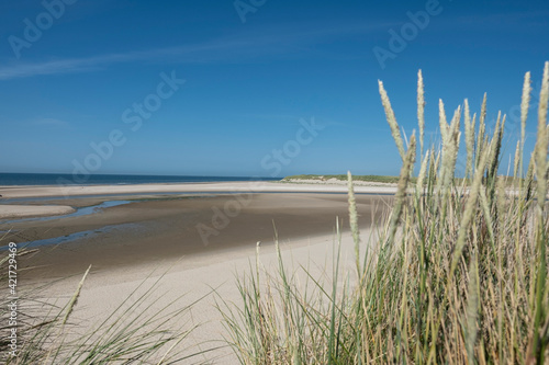 Texel beach sea north sea