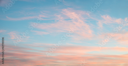 fluffy pink cirrus clouds at light blue sky, beautiful sunset scenery