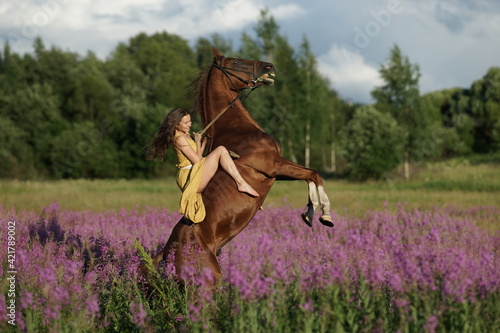 Brown hors on hind legs, beautiful woman with long hair in yellow dress riding bareback a horse in among purple flowers