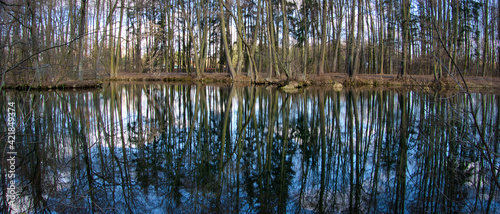 REZERWAT PRZYRODY „NIEBIESKIE ŹRÓDŁA”. TOMASZÓW MAZOWIECKI, POLSKA. 