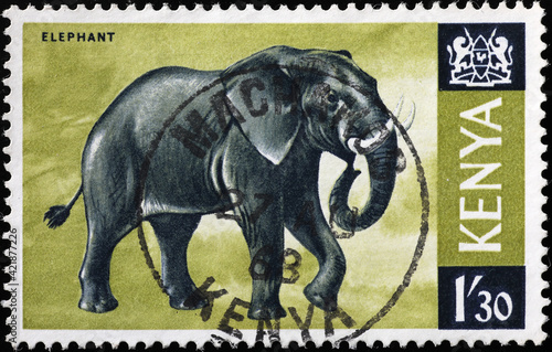 Elephant on kenyan postage stamp