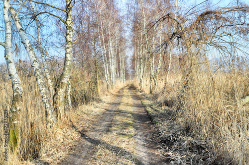 WROCLAW, POLAND - FEBRUARY 22, 2021: Dirt road among the trees. The Milicz Ponds (Polish: Stawy Milickie). Nature Reserve in Barycz Valley Landscape Park, Poland, Europe.