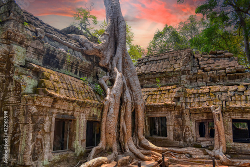 Ta Prohm Temple, near to Siem Reap, Cambodia. One of the most monumental temples on the territory of the Hindu complex Angkor in Cambodia. Located in thick jungle in a dilapidated condition. Roots