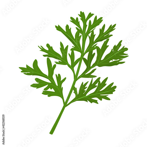 A sprig of a medicinal plant wormwood. Vector illustration isolated in cartoon style.