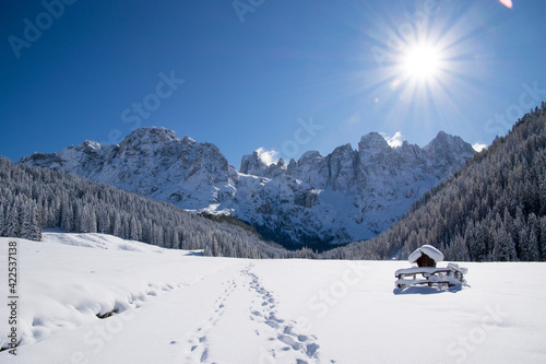 Val Venegia autunno sotto la neve, paesaggio innevato delle Pale di San Martino. Dolomiti innevate