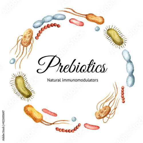 Beneficial prebiotic bacteria, natural immunomodulators. Watercolor hand drawn illustration, isolated on white background
