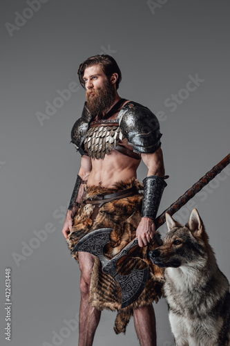 Powerful viking with axe and wild wolf moving away in gray background