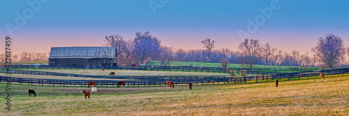 Horses grazing on a farm at dusk.
