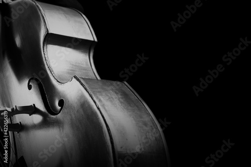 Double bass. Contrabass classical music instrument