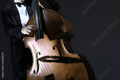 Double bass strings. Hands playing contrabass player