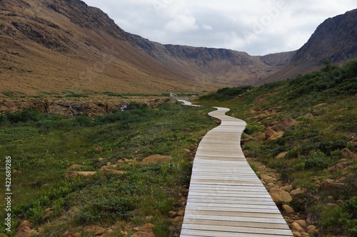 Tablelands Trail boardwalk in Gros Morne National Park in Newfoundland Canada