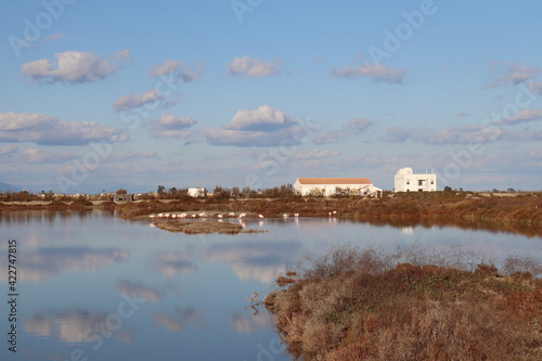 Delta y flamencos