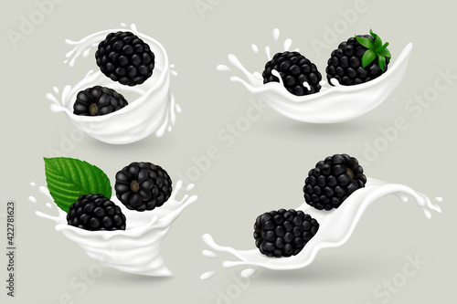 Milk splashes with blackberry fruits and green leaf on gray background. Realistic vector illustration.